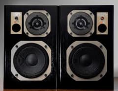 天皇誕生日祝儀価格】これはあなどってはならないCORAL EX-102AV