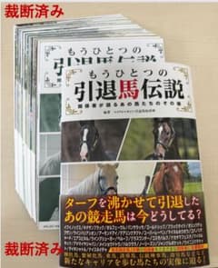 【裁断済】もうひとつの引退馬伝説 ～関係者が語るあの馬たちのその後のサムネイル