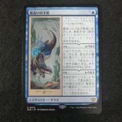 MTG 嵐追いの才能 日本語1枚 - メルカリ