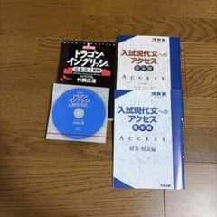ドラゴンインフリッシュ & 現代文アクセスのサムネイル