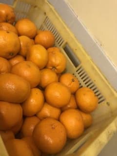 有田みかん2Lサイズ送料込み10kg箱込みのサムネイル
