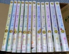 値下】虐げられ令嬢とケガレ公爵～そのケガレ、払ってみせます！～ ①