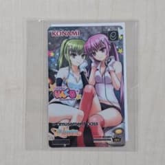 【当選証明付き】e-amusement pass KAC 2011 Lincle メタリック e-amusement passカード コレクション Lincle - メルカリ