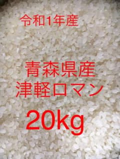 青森県産　津軽ロマン20kgのサムネイル