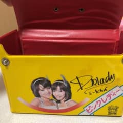 ピンクレディーケース④のサムネイル