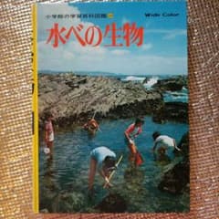 小学館の学習百科図鑑　水べの生物のサムネイル