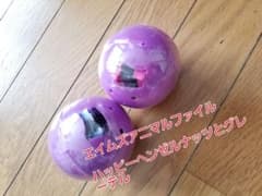 コレクタブルワンダーライドブックＧＰ12 2個セットのサムネイル