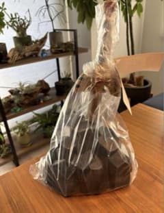 【未使用】☆ロトの剣 -岩台座付き　ニジゲンノモリ　ドラゴンクエスト伝説の勇者賞のサムネイル