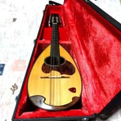 Suzuki M-30 マンドリン 本体 ハードケース付き - メルカリ