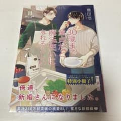 30歳まで童貞だと魔法使いになれるらしい(11)特装版 純愛(ピュアラブ)We…のサムネイル