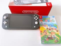 Nintendo Switch NINTENDO SWITCH LITE グレーのサムネイル