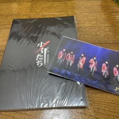 少年たち パンフレットのサムネイル