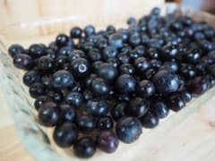 無農薬 朝摘みブルーベリー 【1kg】のサムネイル