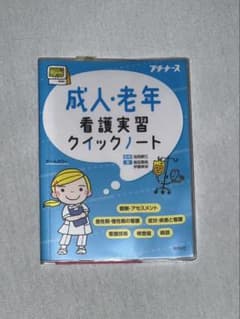 成人・老年看護実習クイックノートのサムネイル