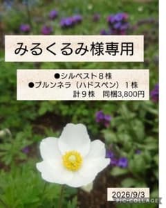 みるくるみ様専用のサムネイル