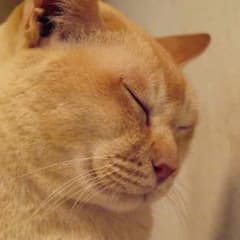 .a.様専用☆のサムネイル