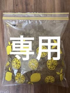 専用のサムネイル