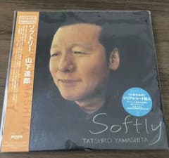 山下達郎 Softly ソフトリー 2枚組LPレコード - メルカリ