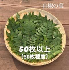 山椒の葉　50枚以上　天然　無農薬　10月18日までセール中のサムネイル