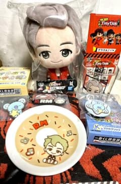 이치 반 쿠지 TinyTAN 타이니탄 BT21 RM 아르엠 KOYA 7점