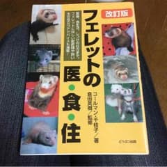 フェレットの医食住のサムネイル