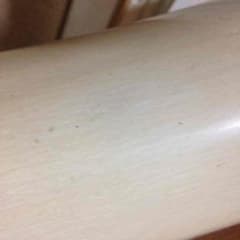 確認用のサムネイル