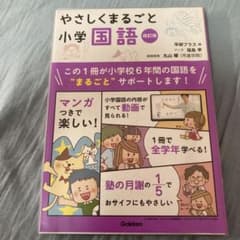 ‼️未記入‼️やさしくまるごと小学国語 改訂版 DVD未開封のサムネイル