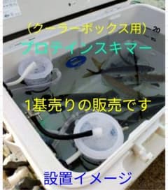 ヤエン、ノマセ釣りに（お買い得）プロテインスキマー×1基①（商品説明必読）のサムネイル