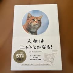 人生はニャンとかなる！のサムネイル