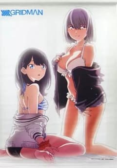 宝多六花＆新条アカネ 描き下ろしB2タペストリー 「SSSS.GRIDMAN」のサムネイル