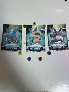ポケモンアドバンスジェネレーションミズゴロウ ヌマクロー ラグラージ 3枚セットのサムネイル
