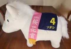 ソダシ　桜花賞のサムネイル