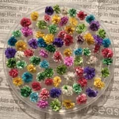 NO 235 ドライフラワー、かすみ草、70個のサムネイル