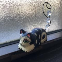 エスニックな猫のサムネイル