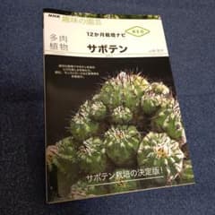 空ツバメ様 リクエスト 2点 まとめ商品 空ツバメ様 リクエスト 3点 まとめ商品 - メルカリ