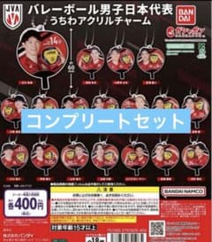 バレーボール男子日本代表 うちわアクリルチャーム 全18種セット バレーボール男子日本代表 うちわアクリルチャーム 全18種セット