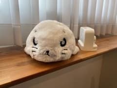 미품 소년 아시베 지타바타 참깨 봉제 인형 소년 아시베 약 34cm