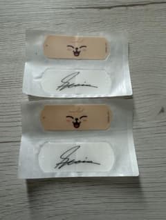 StrayKids SKZOO チャームエイド スンミンのサムネイル