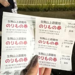 生駒山上遊園地 のりもの券 6枚セット - 2