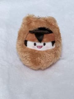 イナズマイレブン　円堂守　ぬいぐるみ　たぴぬいのサムネイル