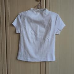 エンスウィート　ensuite 半袖 トップス サイズMのサムネイル
