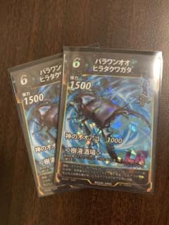 パラワンオオヒラタクワガタ　2枚セットのサムネイル