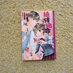 藤井兄妹の絶体絶命な毎日 泣いちゃいそうだよ 高校生編