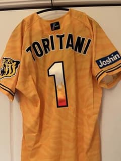 阪神タイガース ウル虎の夏2013レプリカユニフォームL＆応援Tシャツ