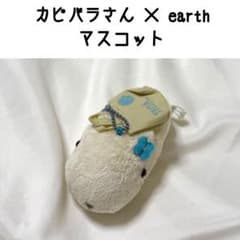 카피바라씨 earth music&ecology 10주년 마스코트