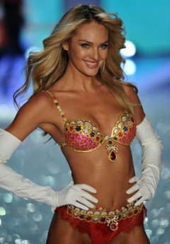 Victoria's Secret  ブランケットのサムネイル