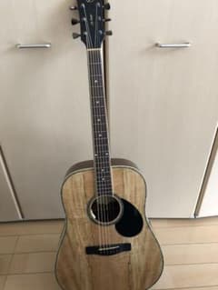 greg bennett d-30【値段頑張ります】【即発送】のサムネイル