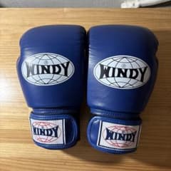 WINDY ボクシンググローブ ブルー 8oz - メルカリ
