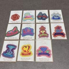 安室奈美恵 Finally 刺繍ワッペン 11枚セット - メルカリ