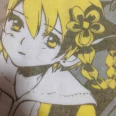 サリシノハラ マフラータオルのサムネイル